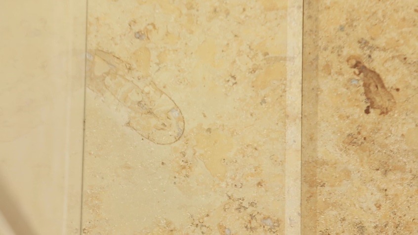 Известняк бежевого цвета для облицовки фасада