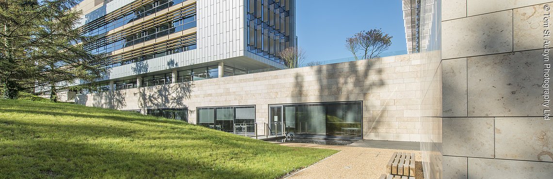 Купить натуральный камень с карьера