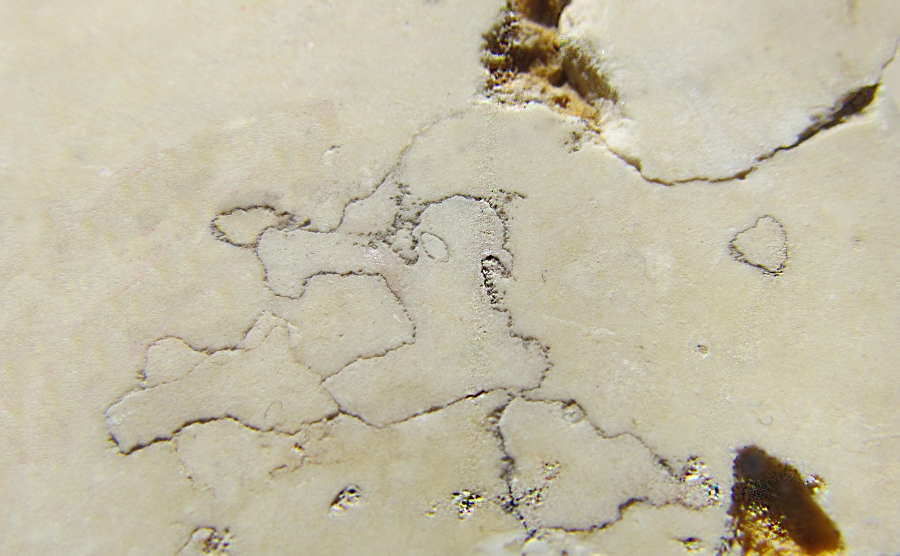 Дефекты и оценка качества юрского камня