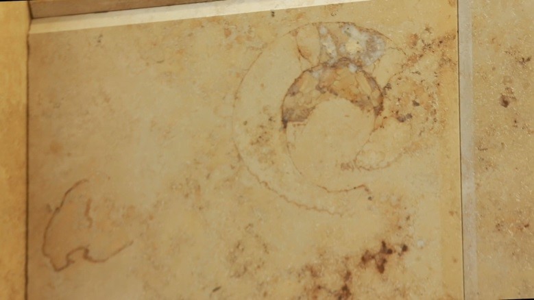 Известняк бежевого цвета для облицовки фасада