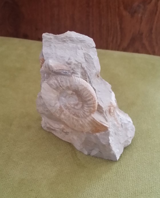 Светлые известняки в облицовке фасадов зданий